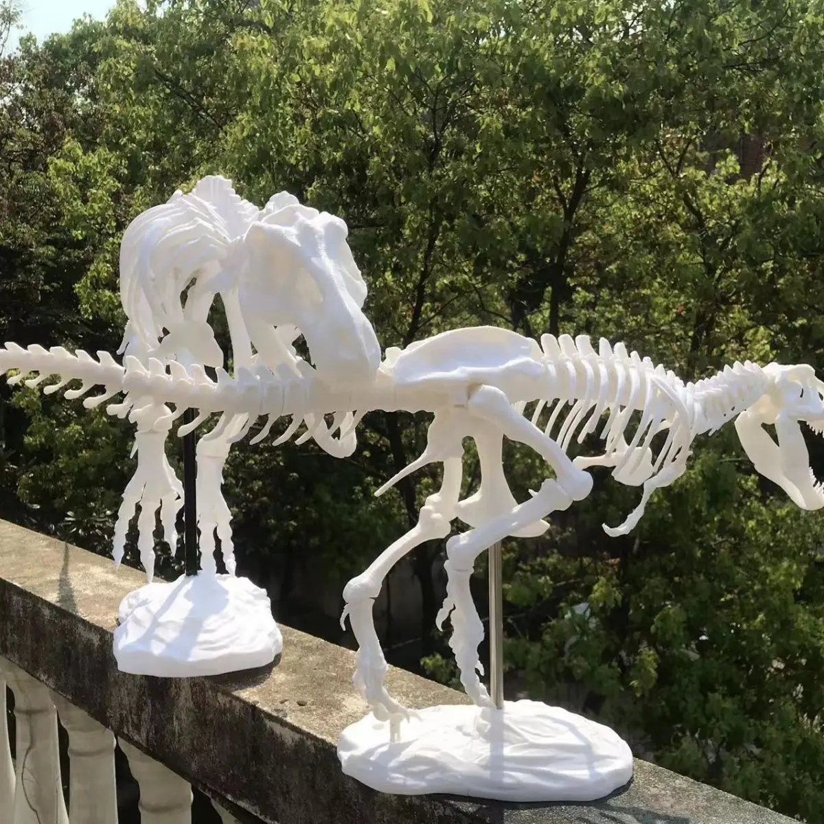 Dinosaur And Craft - Dinosaur Fossil Skeleton Resin Crafts Hotel