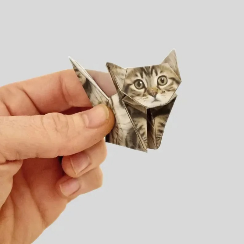 Creative DIY Origami Paper Set - Dinosaur And Craft reseña y precio
