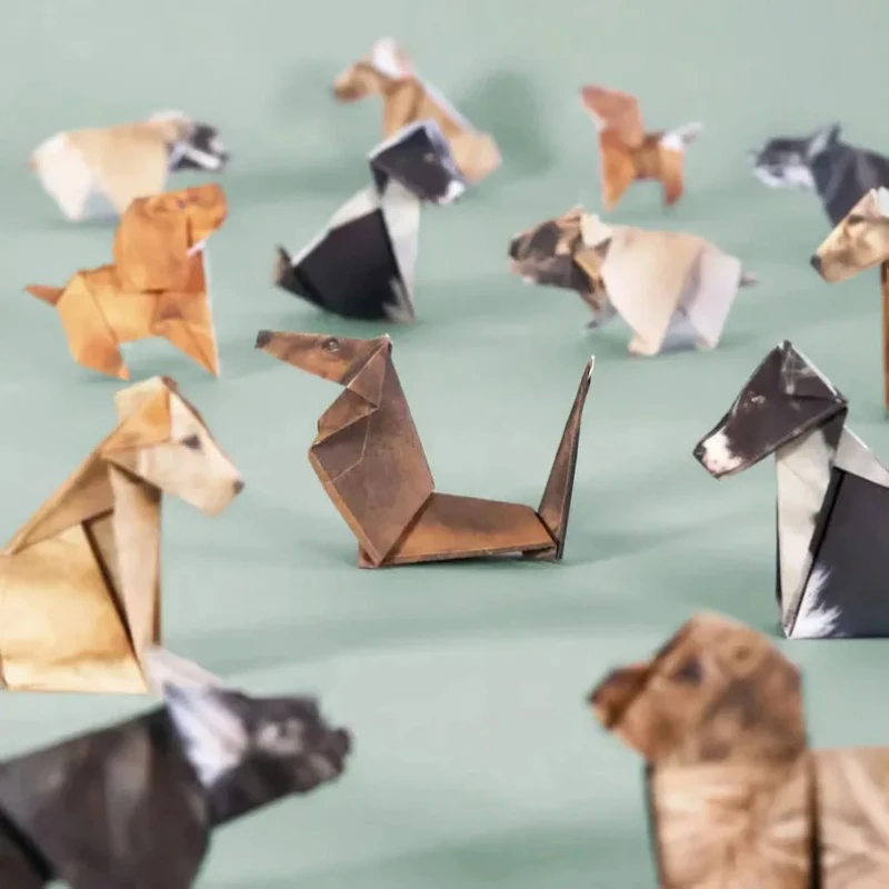 Creative DIY Origami Paper Set - Dinosaur And Craft reseña y precio
