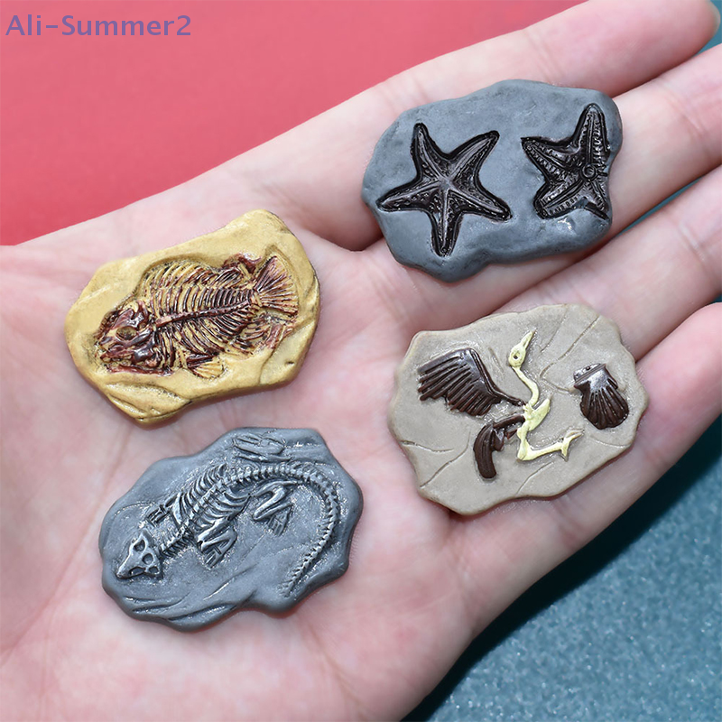 Mini Dinosaur Fossil Model Set - Dinosaur And Craft reseña y precio