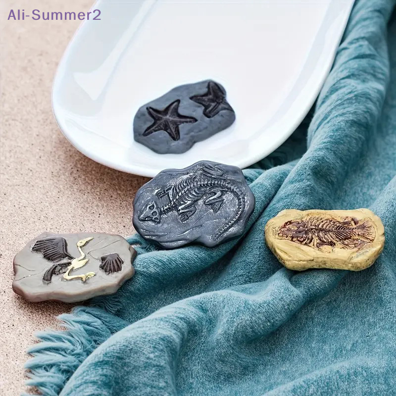 Mini Dinosaur Fossil Model Set - Dinosaur And Craft reseña y precio
