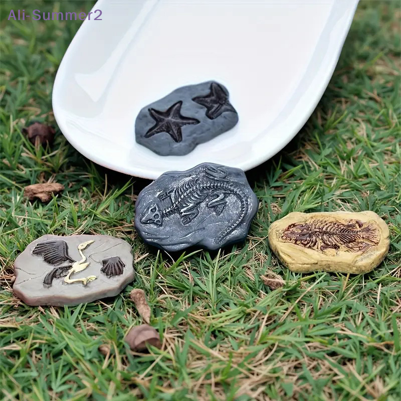 Mini Dinosaur Fossil Model Set - Dinosaur And Craft reseña y precio