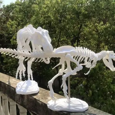 Dinosaur Fossil Skeleton Resin - Dinosaur And Craft reseña y precio