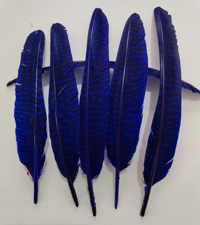 перья!100Pcs/Lot!14-20cm Multi - Art Quilling Craft reseña y precio