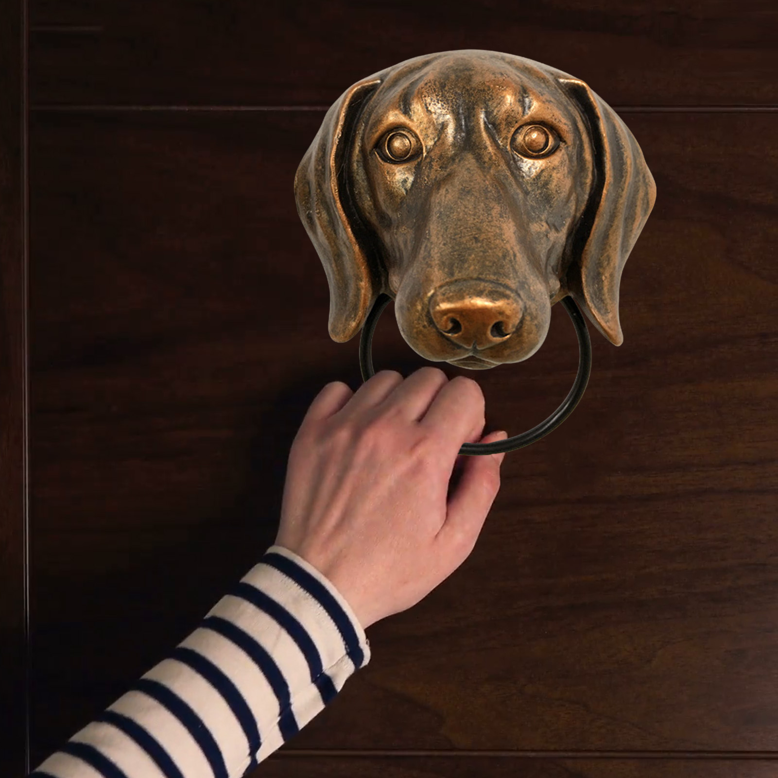 Creative Animals Head Door Kno - Art Craft Door reseña y precio