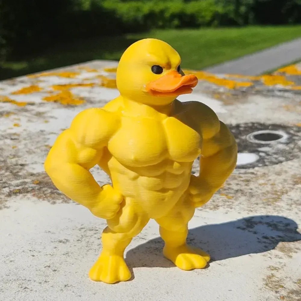 Muscle Duck Statue -3D Desktop - Art Craft Duck reseña y precio